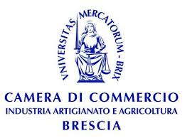 camera commercio